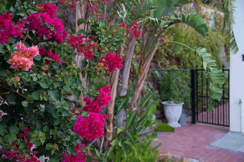 Villa Meadows Mountain View Hout Bay Esterno foto